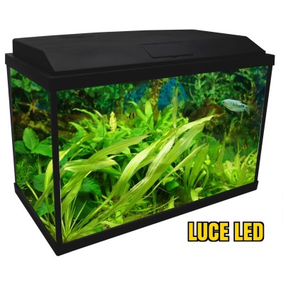 ACQUARIO GENIUS 40 LITRI SUPERACCESSORIATO LUCI LED -2