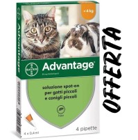 Bayer Advantage 80 4-8-12-16-20-pipette per gatti e conigli SCADENZA 2022 