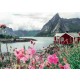 Puzzle 1000 Pezzi Lofoten Ravensburger 16740 4005556167401